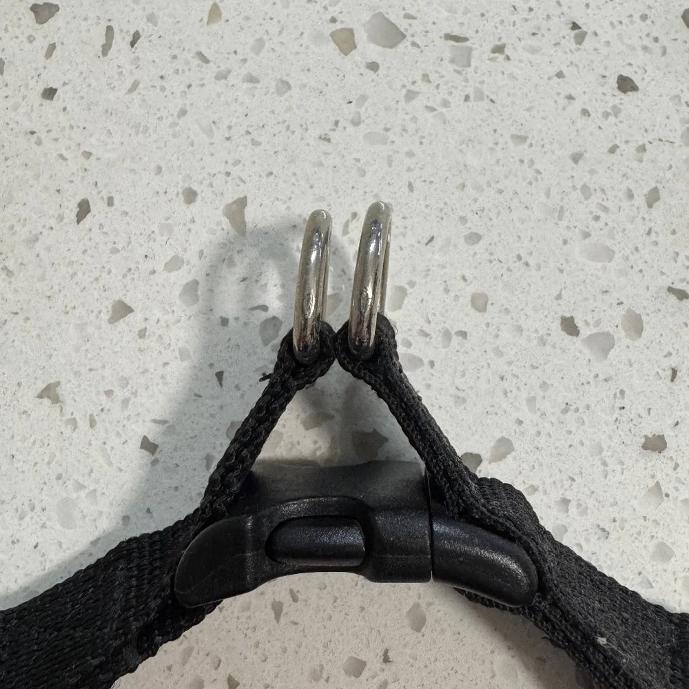 Black Dog Harness